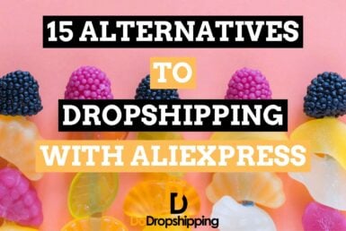 The 15 Best Alternatives to Dropshipping With AliExpress in 2021!