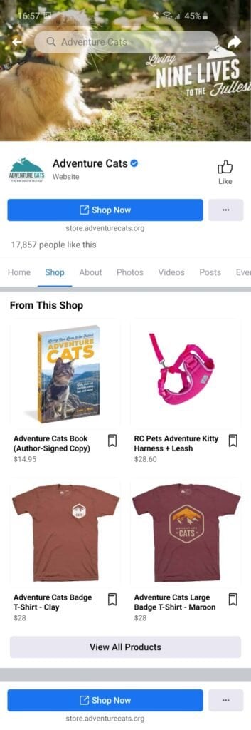 Facebook shop example dropshipping