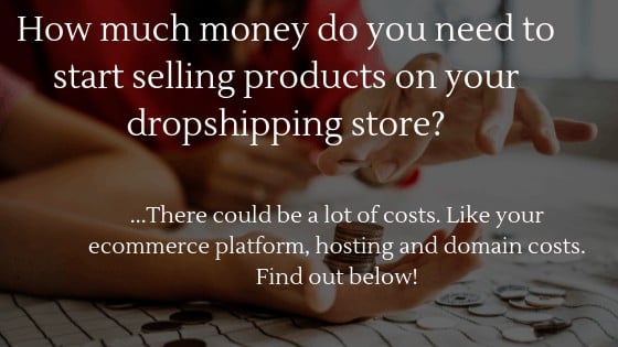 Can you start dropshipping without money in 2024: How much money do you need to start selling products on your dropshipping store?