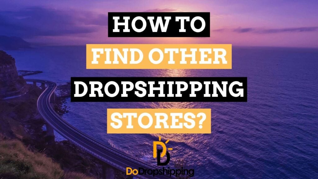 How to Find Other Dropshipping Stores in 2024? 5 Amazing Tips!