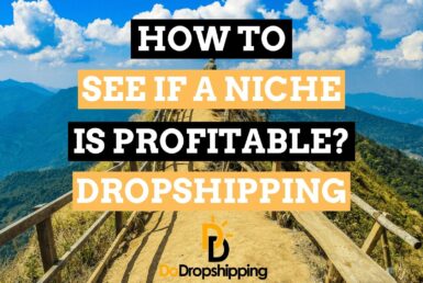 How to Find out If a Dropshipping Niche Could Be Profitable in 2021?