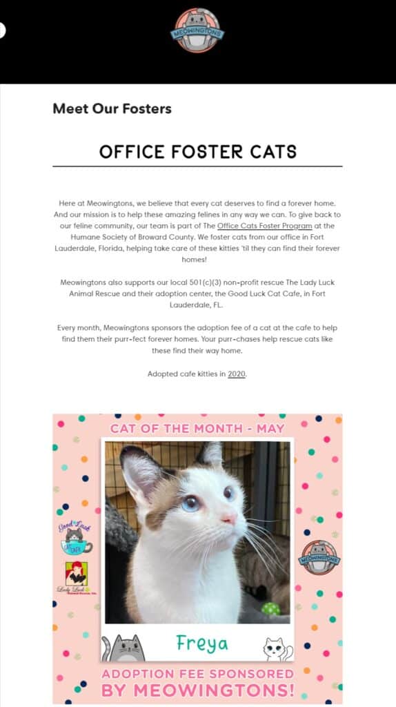 Foster Cats on Meowingtons.