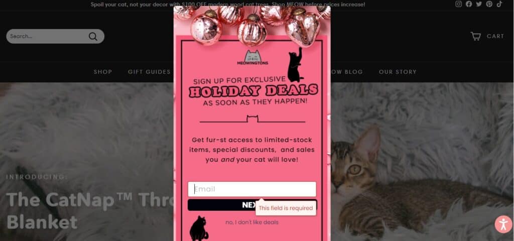 Email collection pop-up on Meowingtons website