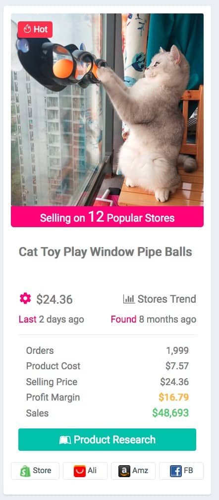 Pet Niche Dropshipping Product Examples: Cat window toy