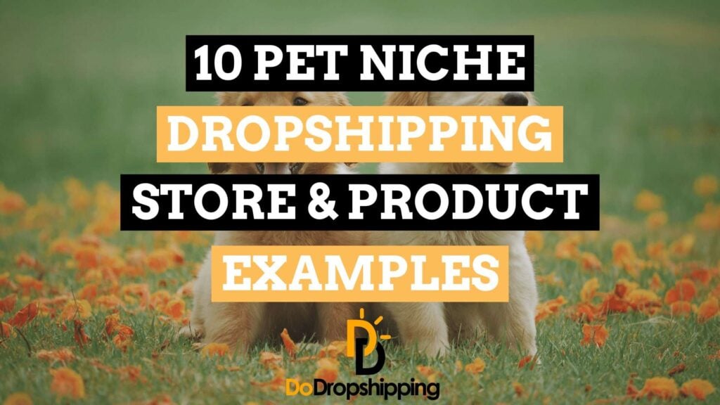 10 Pet Niche Dropshipping Store & Product Examples in 2021!