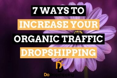SEO for Dropshipping Stores | Get Free Traffic Now!