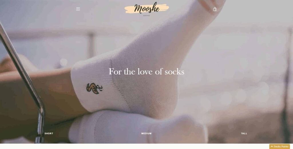 Dropshipping store example
