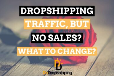 Shopify Dropshipping: Traffic, but No Sales? What to Change?