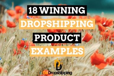 Winning Dropshipping Product Examples